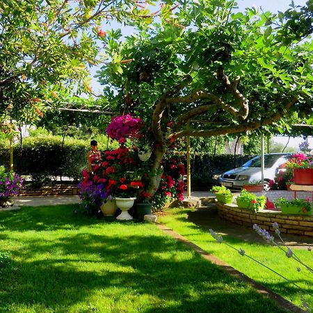 Beach Apartments Roza - The Garden Apartment Biograd Na Moru Dış mekan fotoğraf