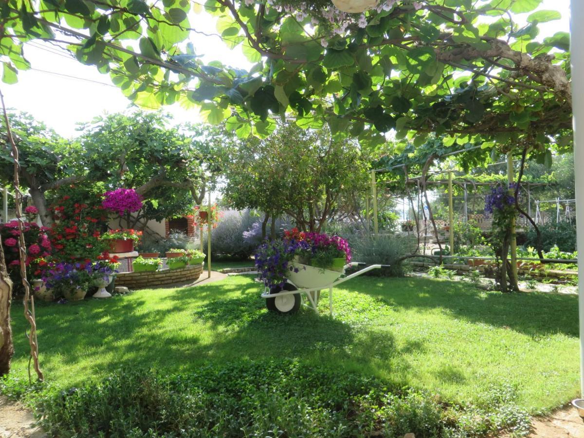 Beach Apartments Roza - The Garden Apartment Biograd Na Moru Dış mekan fotoğraf