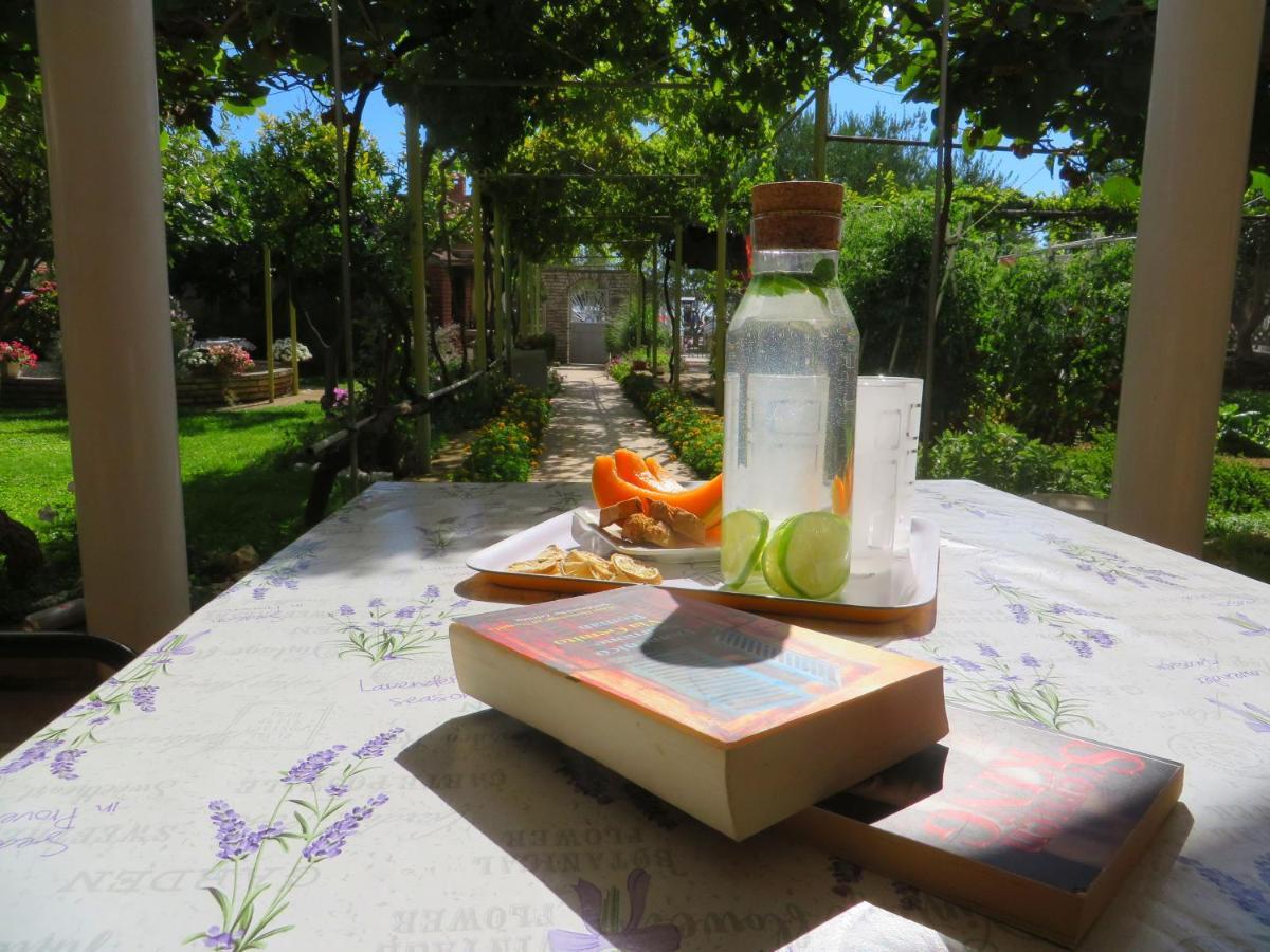 Beach Apartments Roza - The Garden Apartment Biograd Na Moru Dış mekan fotoğraf