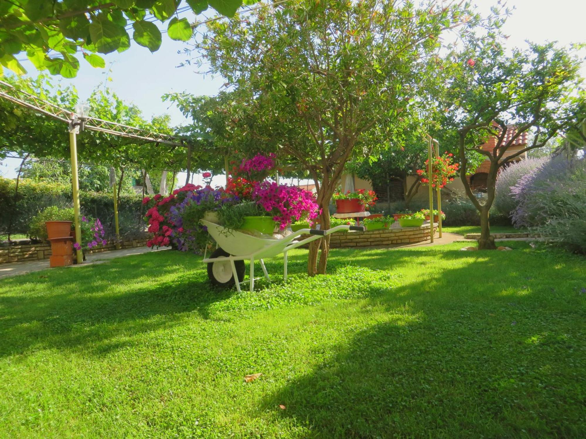 Beach Apartments Roza - The Garden Apartment Biograd Na Moru Dış mekan fotoğraf